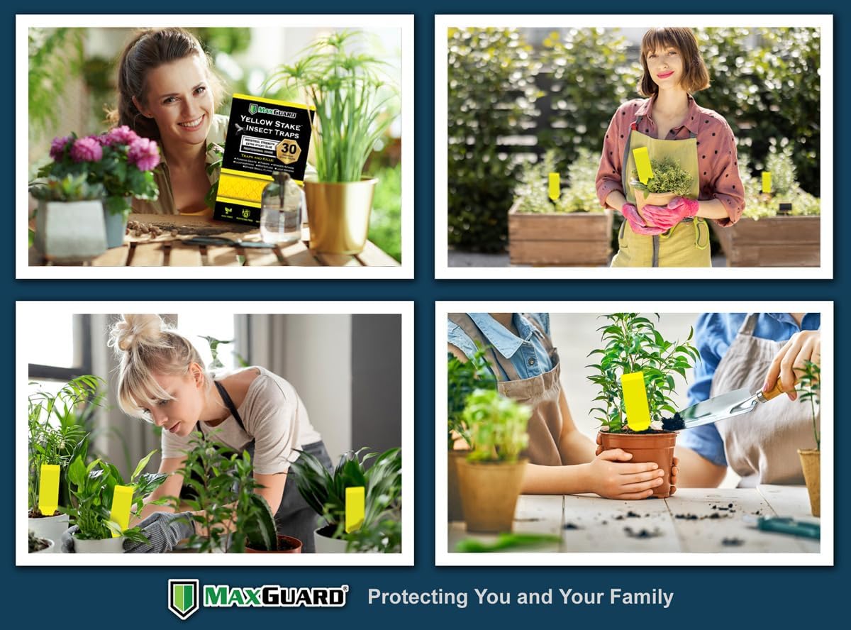 Yellow Stake Sticky Insect/Bug Traps - Catch and Kill Fungus Gnats, Whiteflies, Mosquitos, Aphids, Leaf Miners, Flying Insect Catcher Glue Trappers for Indoor or Outdoor