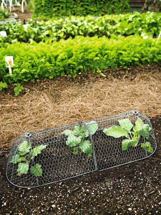 Sturdy Metal Garden Protection for Your Crops and Seedlings