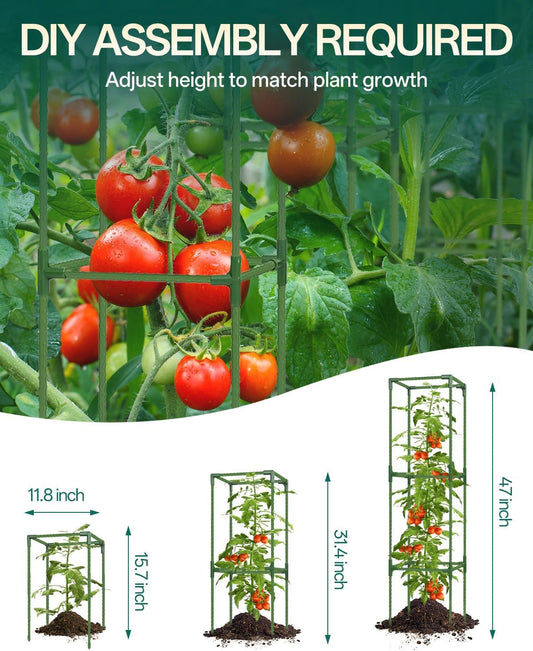 3 Pack Square Tomato Support Cagest for Climbing Vegetables, Flowers, Beans, Cucumber Peony