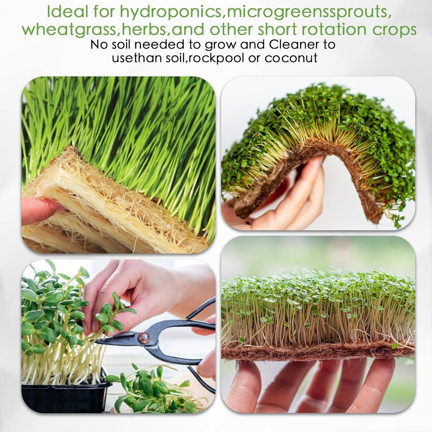 6Pack Microgreens Growing Trays with Plant Hemp Fiber Grow Mat