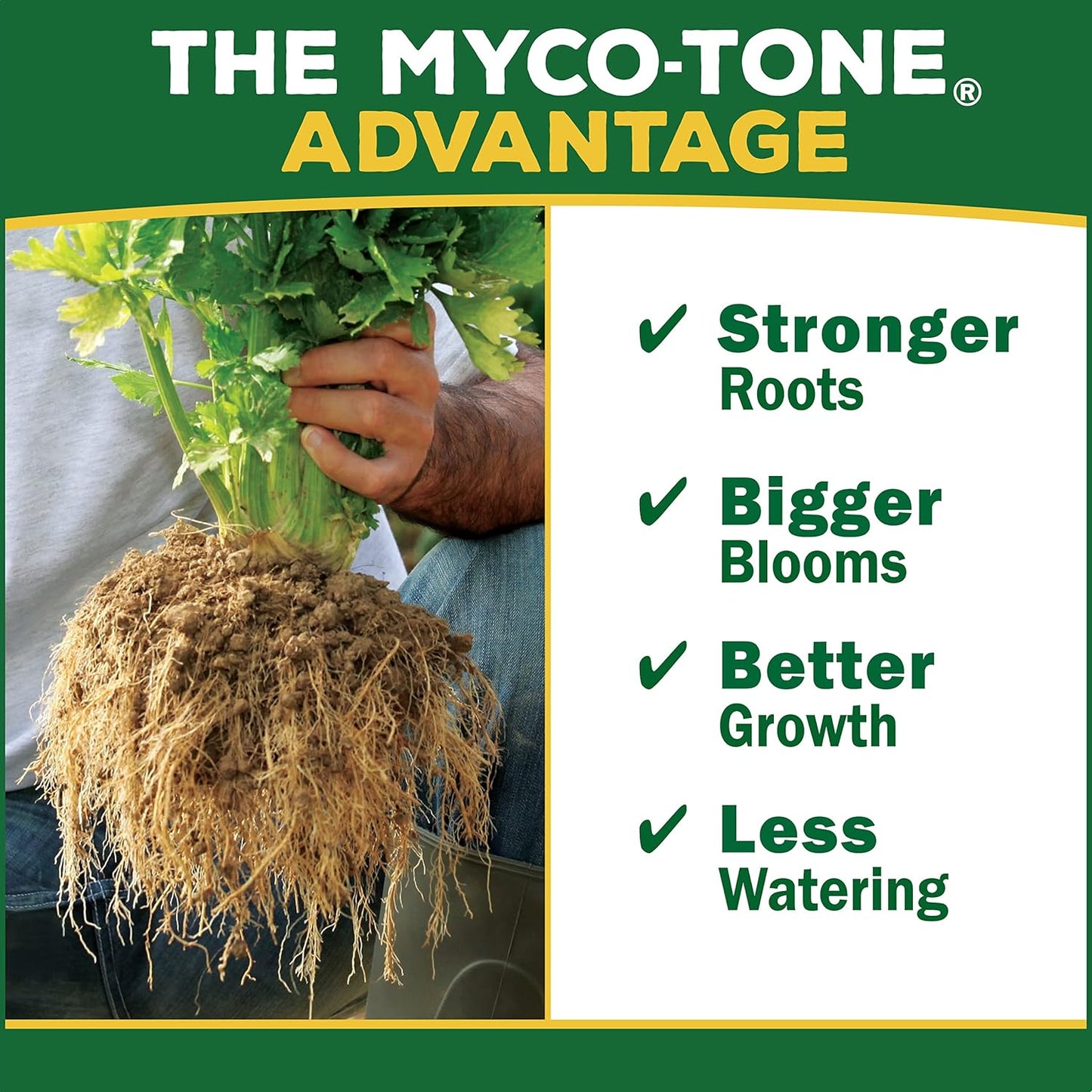 Premium All Natural & Organic Seed Starting Mix with Mycorrhizae