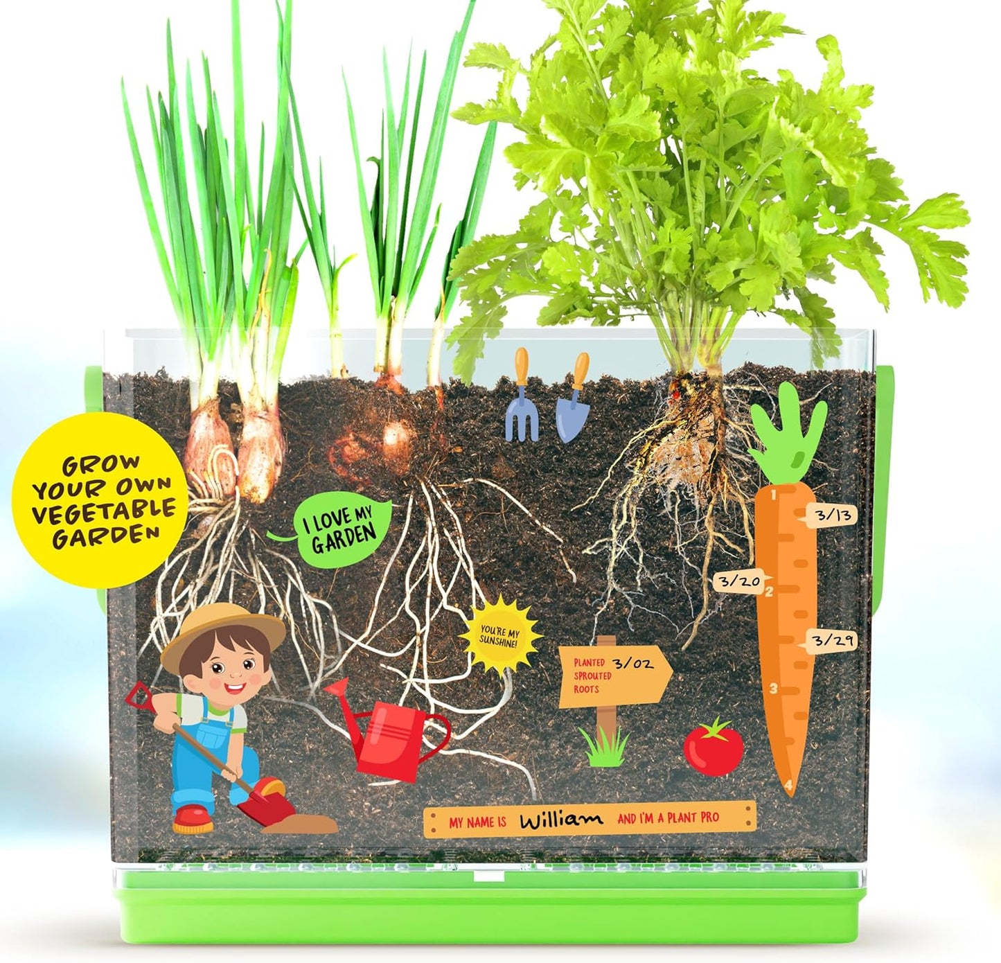 Grow Your Own Plant for Boys & Girls