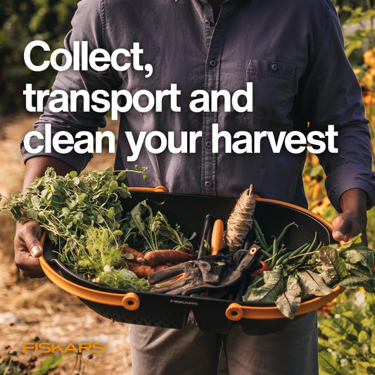 Garden Harvest Basket Doubles as a Collander for Vegetables and Fruits - Garden Accessories