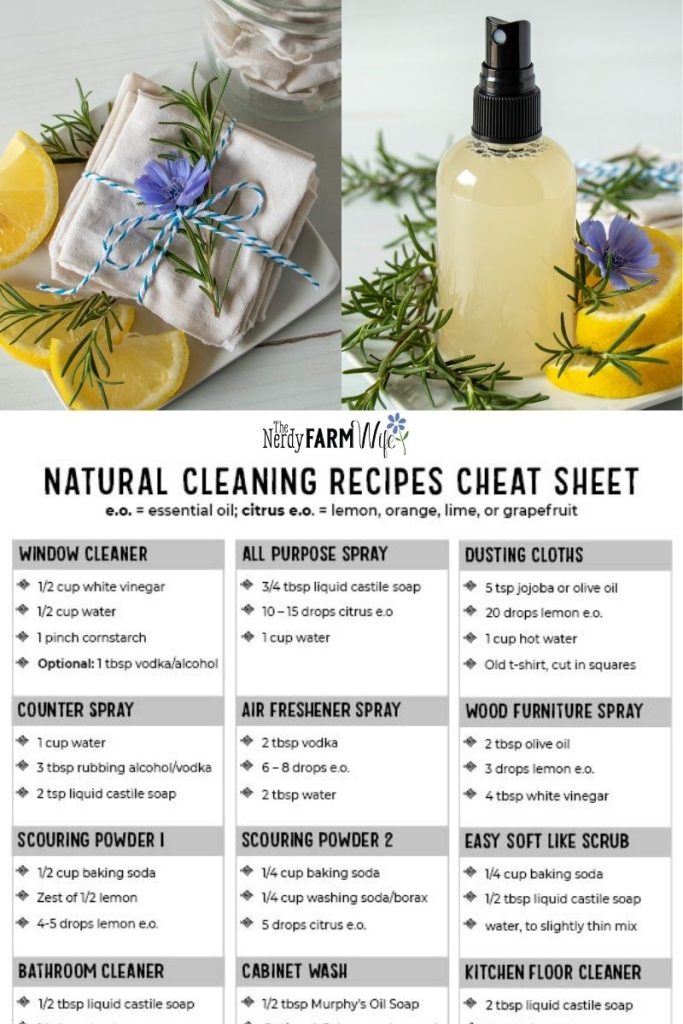 DIY Non-Toxic Household Cleaners Recipes
