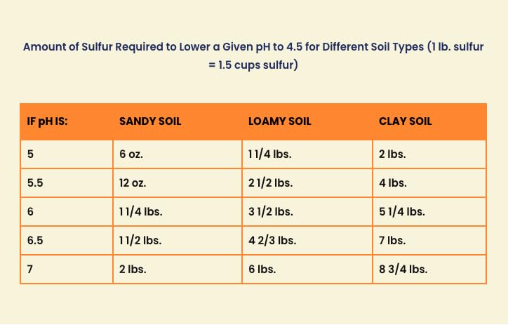 Blood Meal – High-Nitrogen Organic Fertilizer for Rapid Vegetative Growth – 3lb Bag Covers 104 Sq. Ft.