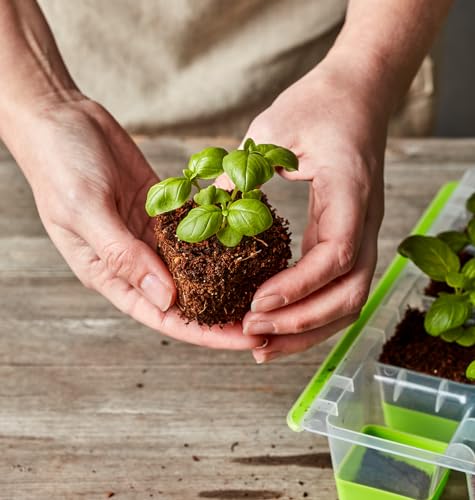 Seed Starting Tray for Starting Vegetable, Flower & Herb Seeds for Germination Success