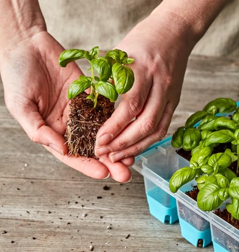 Seed Starting Tray for Starting Vegetable, Flower & Herb Seeds for Germination Success