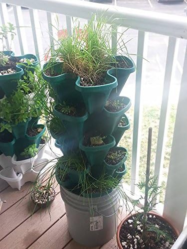 5 Tier Stackable Vegetable Planter - Vertical Garden Indoor/Outdoor
