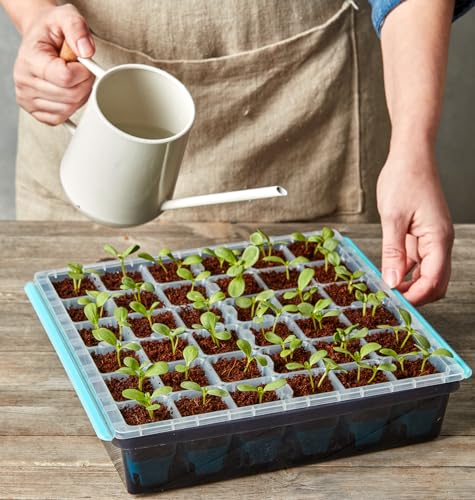 Seed Starting Tray for Starting Vegetable, Flower & Herb Seeds for Germination Success