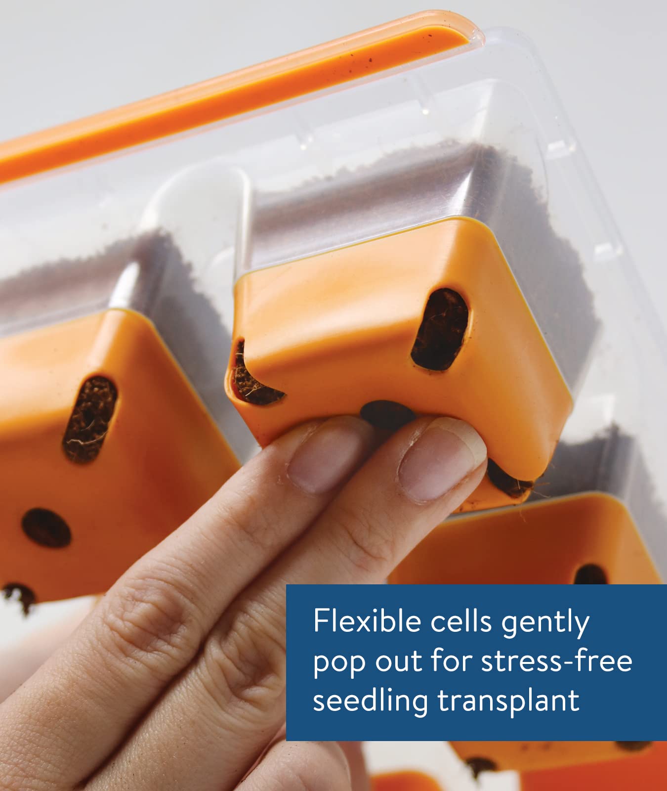 Seed Starting Tray for Starting Vegetable, Flower & Herb Seeds for Germination Success