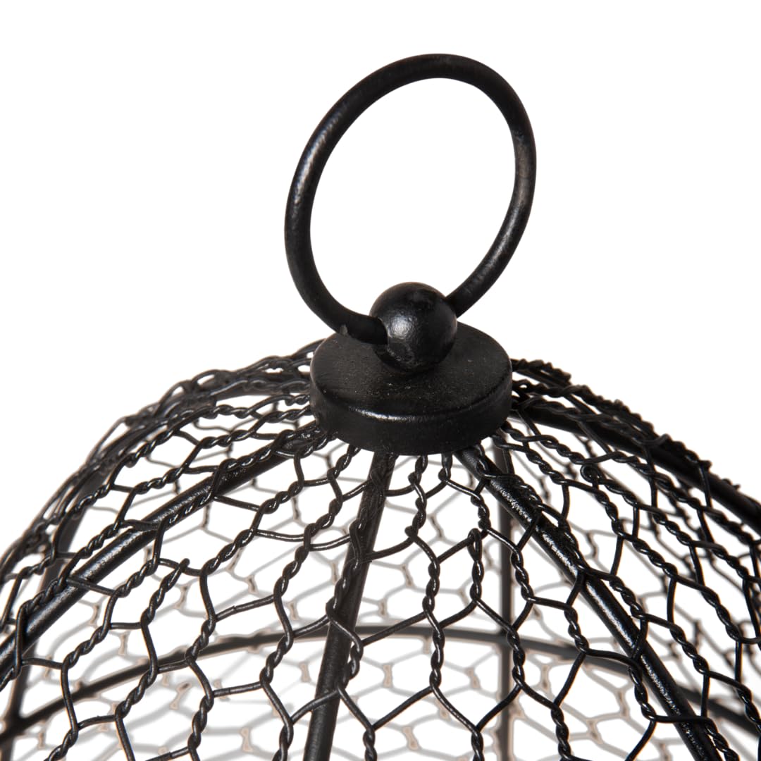 Sturdy Metal Garden Protection for Your Crops and Seedlings