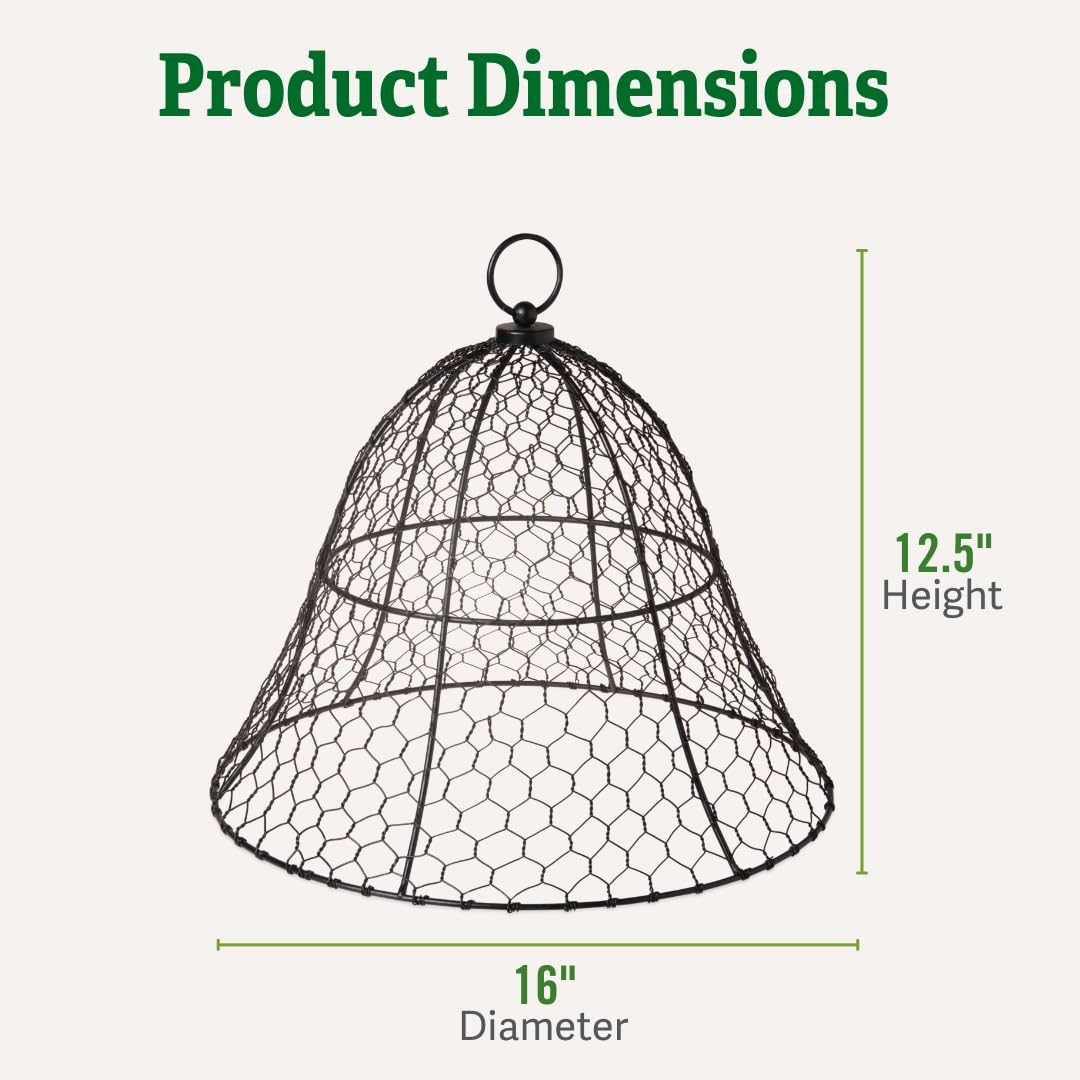 Sturdy Metal Garden Protection for Your Crops and Seedlings