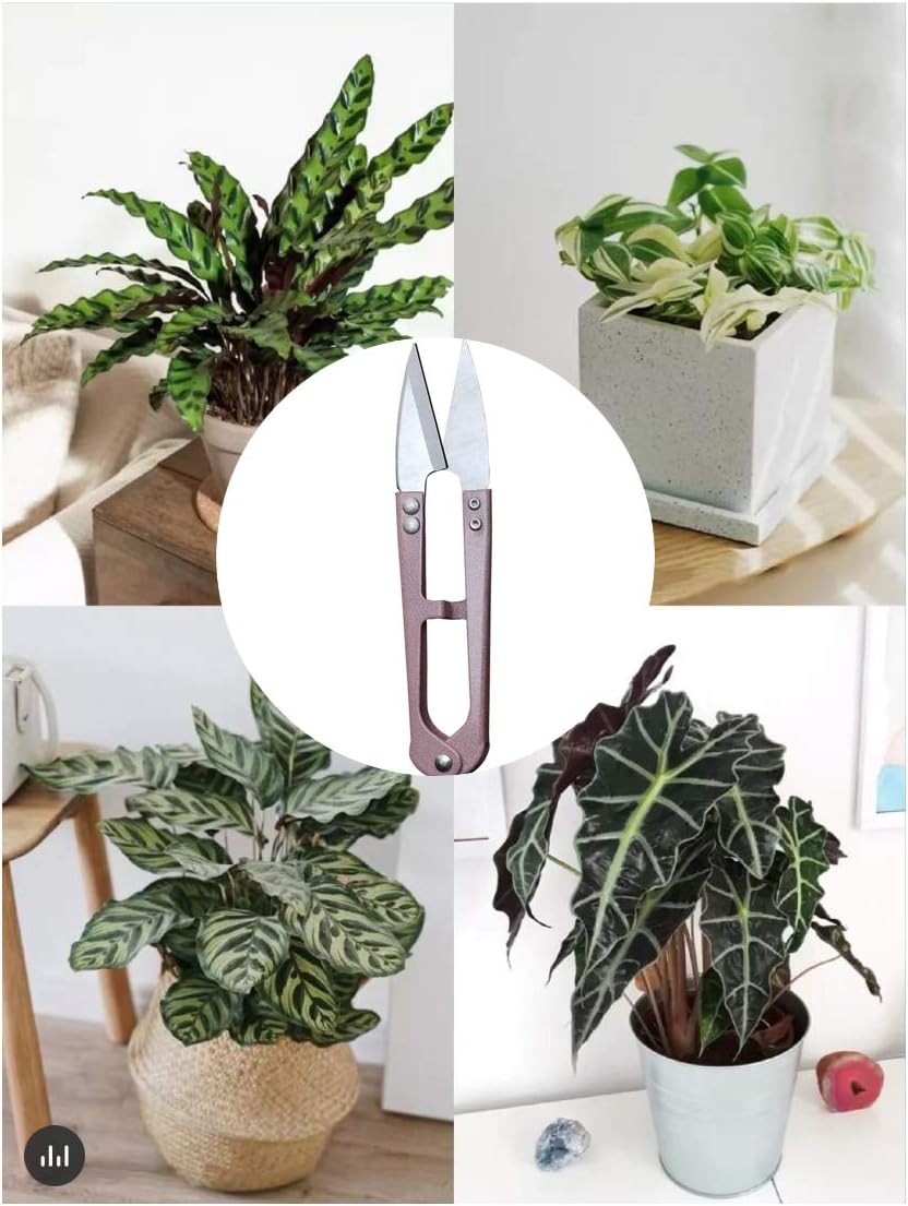 3 Pack 4.1Inch Bud And Leaves Trimmer Yarn Thread Cutter