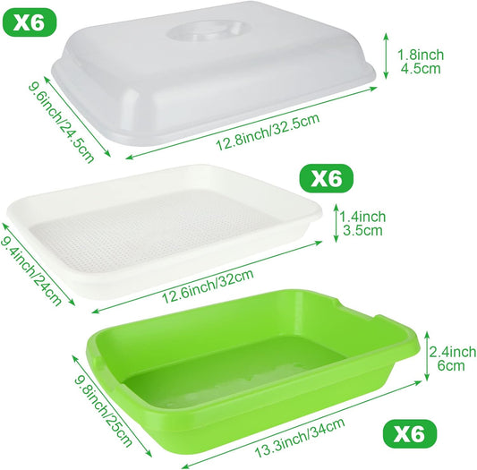 6 Pack Seed Sprouting Tray- BPA Free