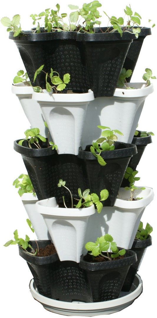 5 Tier Stackable Vegetable Planter - Vertical Garden Indoor/Outdoor