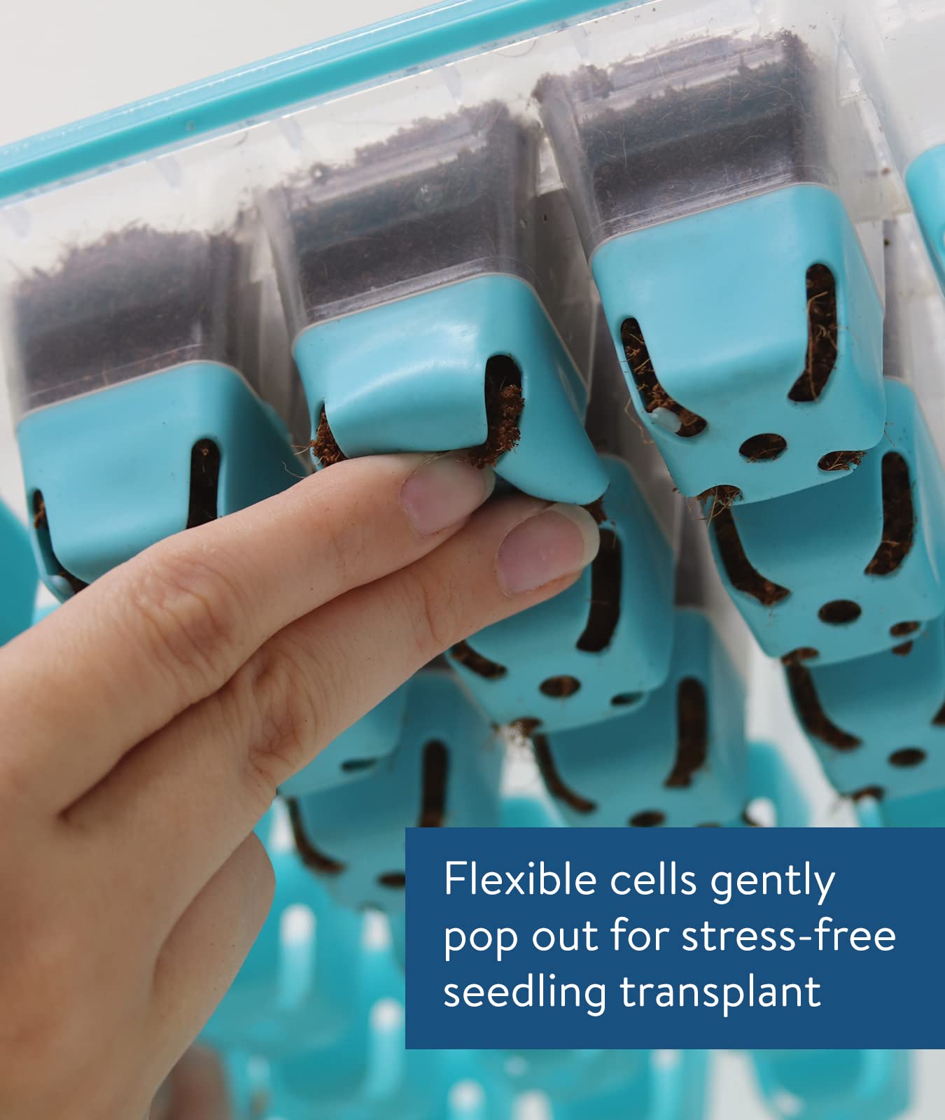 Seed Starting Tray for Starting Vegetable, Flower & Herb Seeds for Germination Success