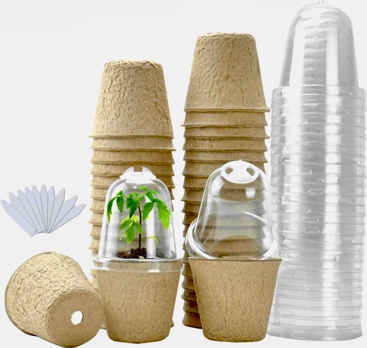 2.33 inch Organic Biodegradable, Eco Friendly Peat Seedling Pots with Humidity Dome