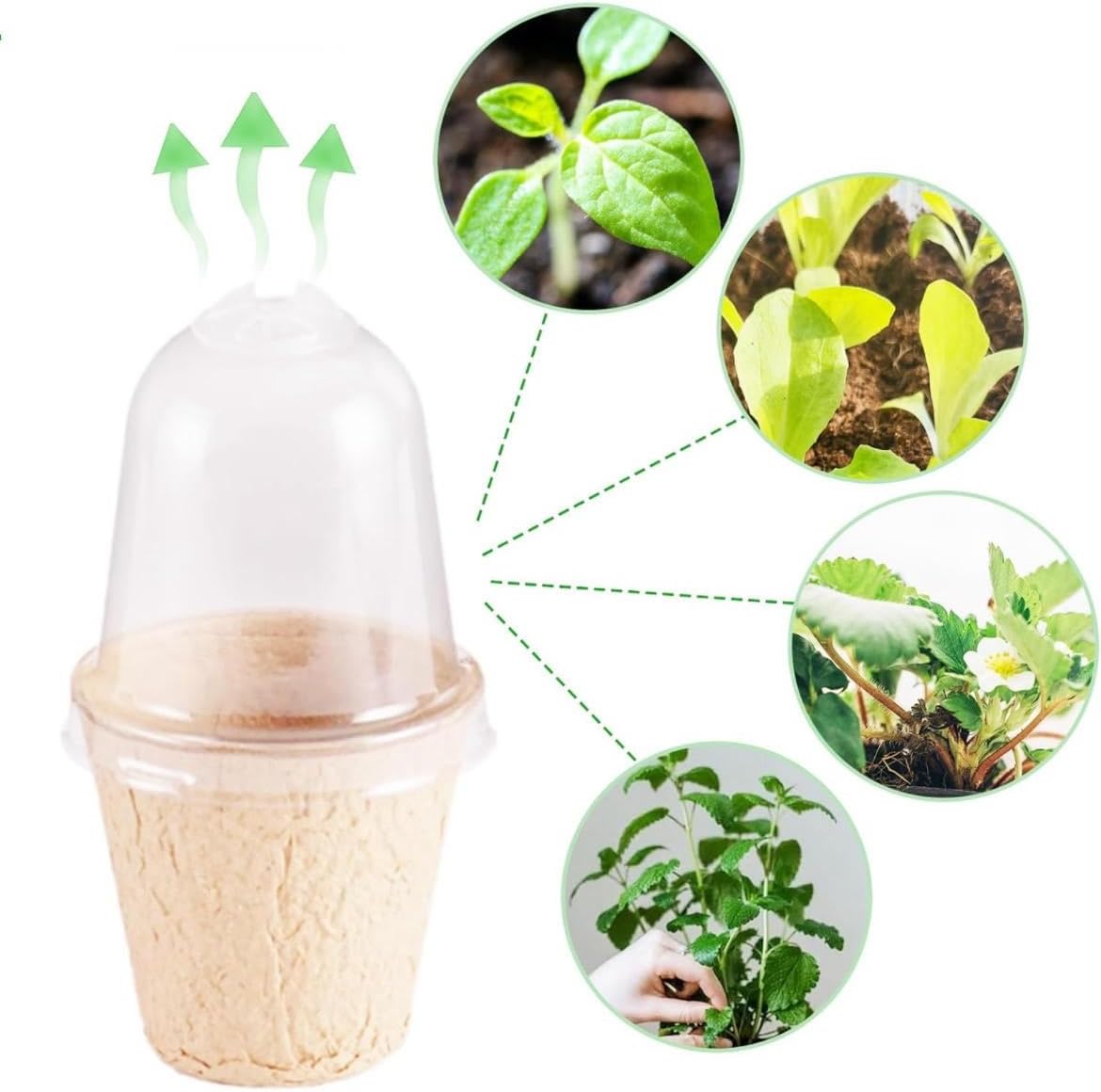 2.33 inch Organic Biodegradable, Eco Friendly Peat Seedling Pots with Humidity Dome