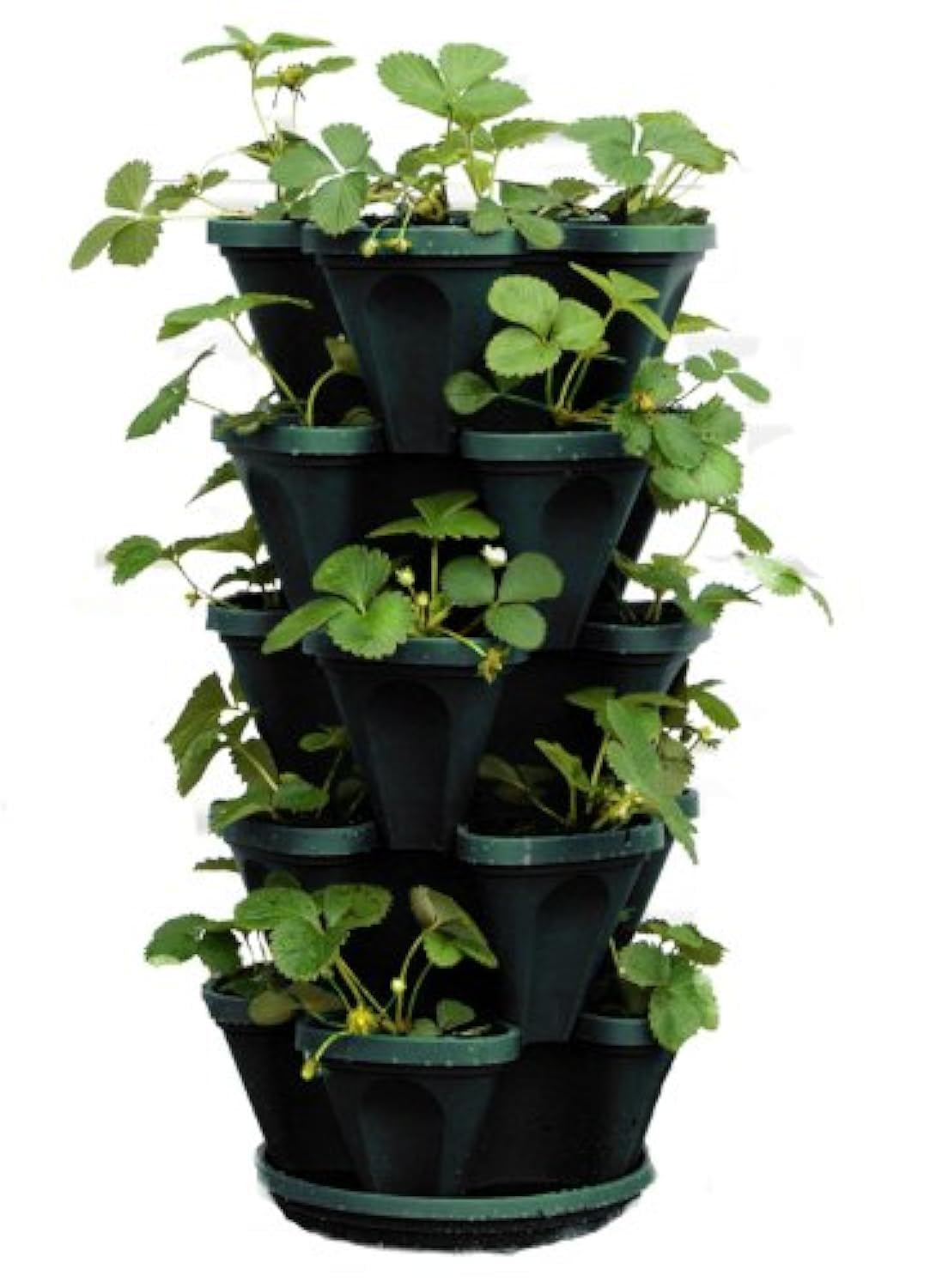 5 Tier Stackable Vegetable Planter - Vertical Garden Indoor/Outdoor