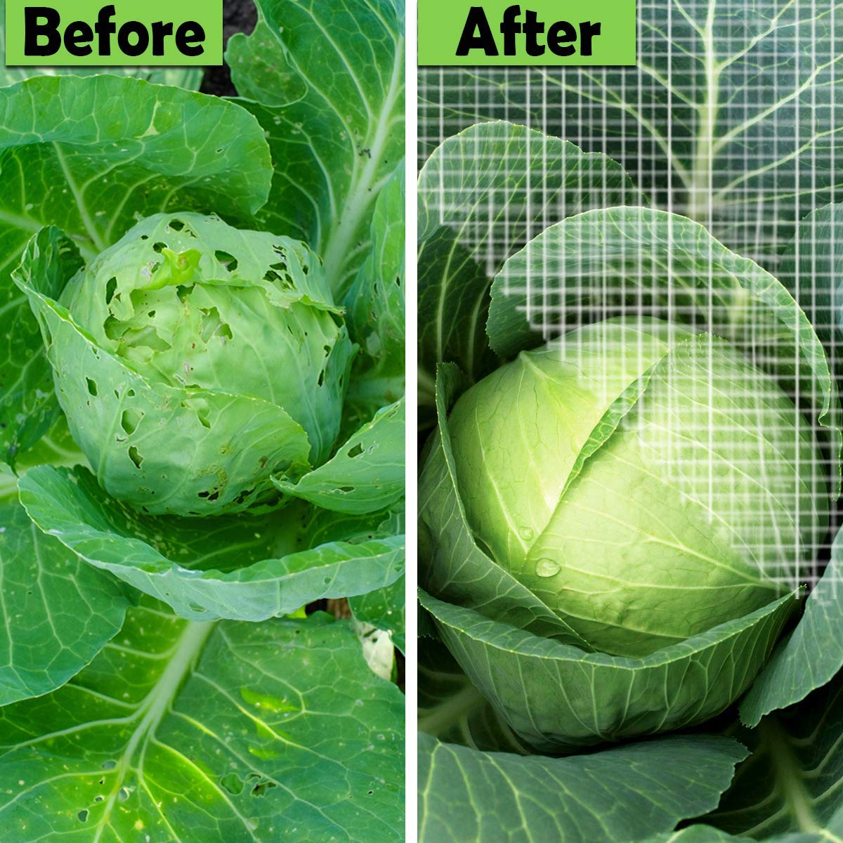 Garden Barrier Netting Ultra Fine - Birds & Animal Garden Protection