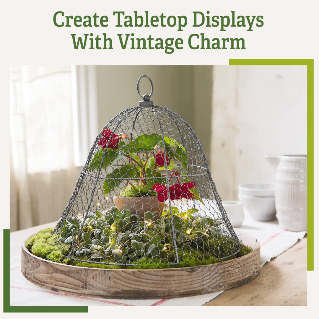 Sturdy Metal Garden Protection for Your Crops and Seedlings