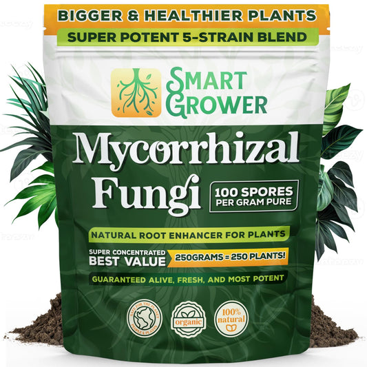 Fungi Organic Root Enhancer for Plants, Super Potent 100 Spores Per Gram, 5-Strain Blend, Rapid Results for Gardens, Houseplants, Lawns, Mycorrhizae Smart Grower 125 Grams for 125 Plants