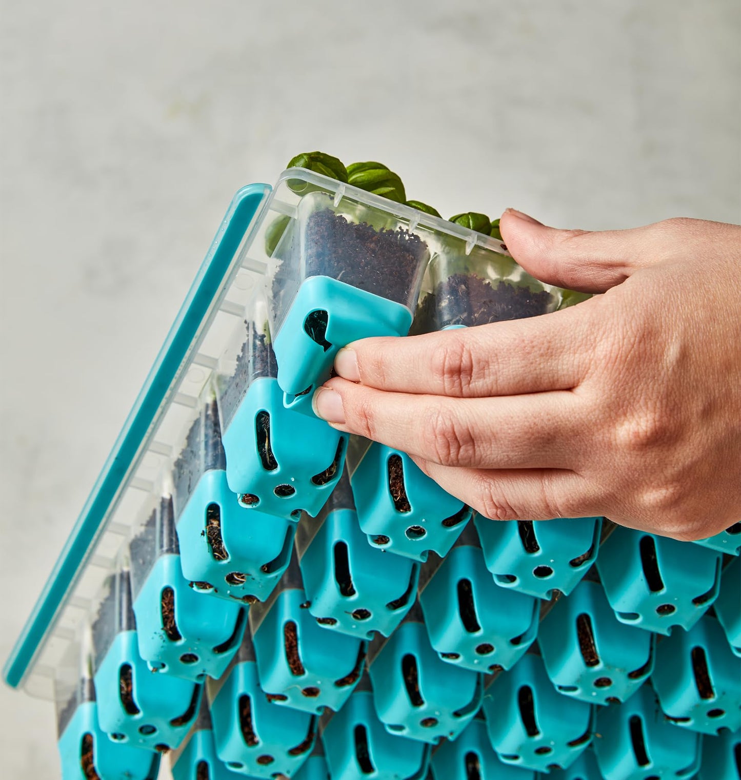 Seed Starting Tray for Starting Vegetable, Flower & Herb Seeds for Germination Success