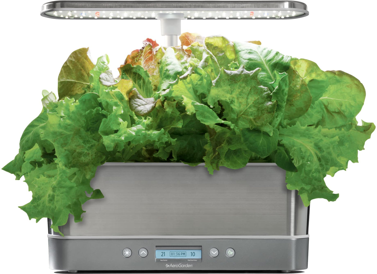 Aerogarden Elite Indoor Hydroponic System