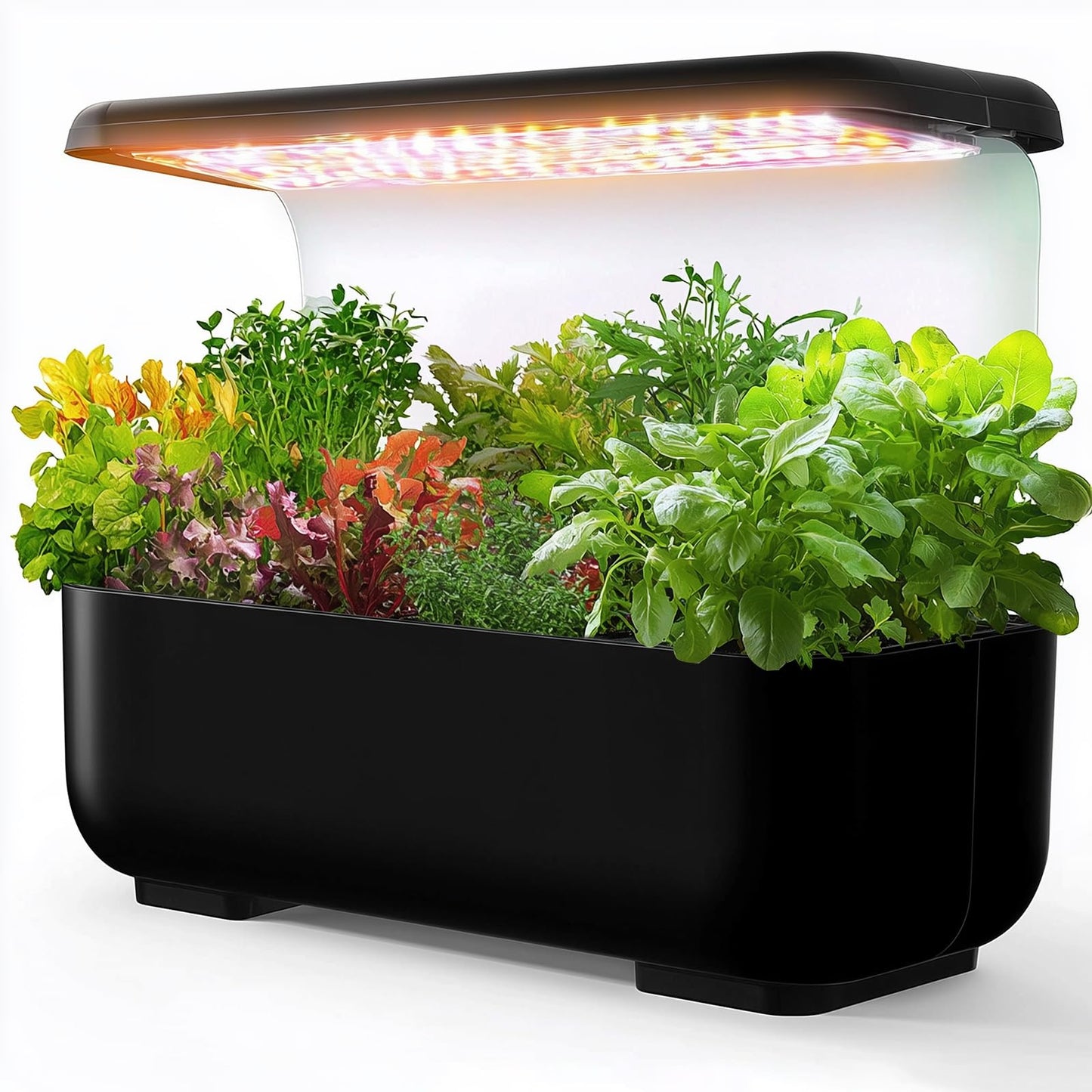 Non-GMO Heirloom Seeds 20,000+ Assorted Varieties available