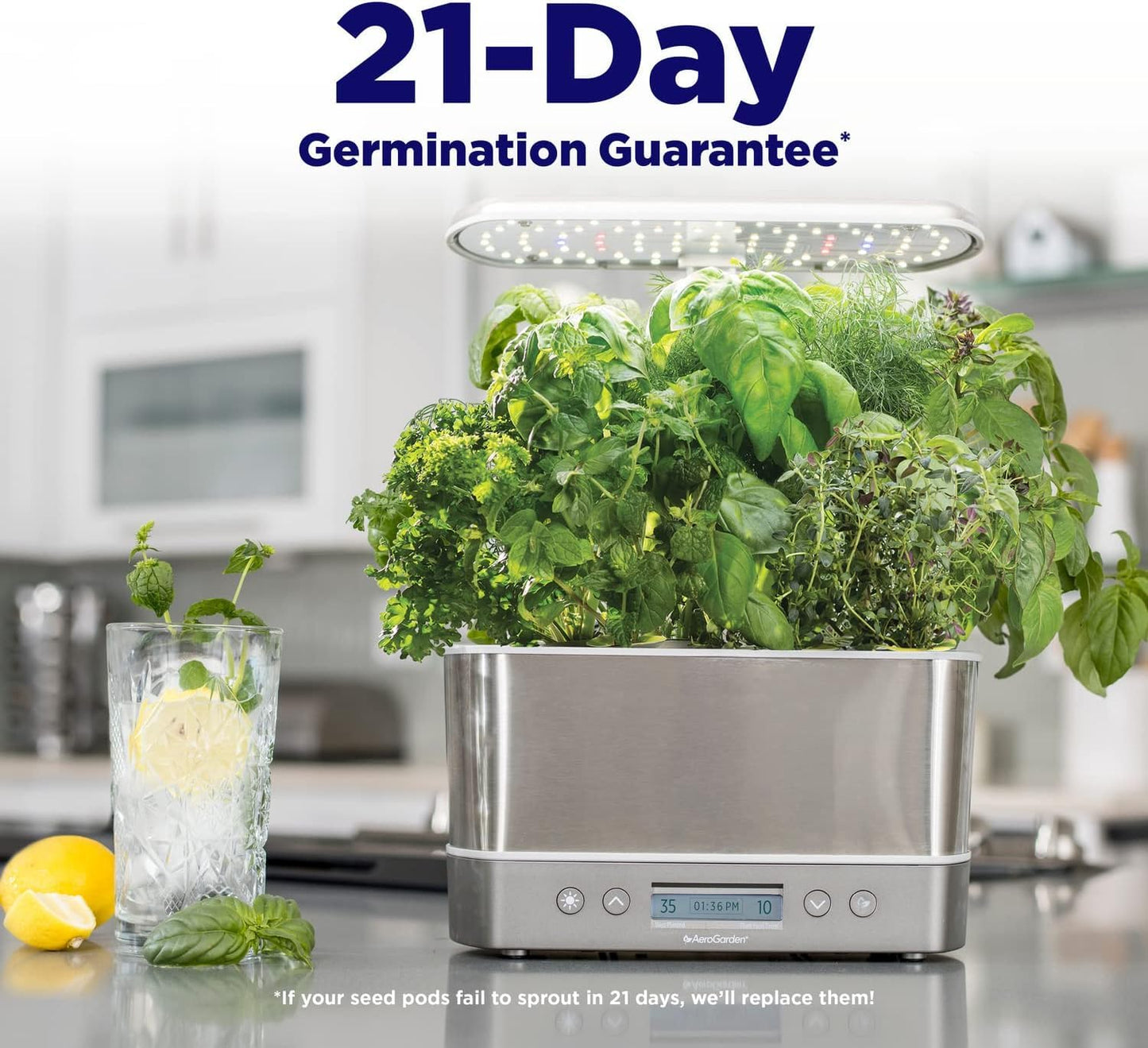 Aerogarden Elite Indoor Hydroponic System