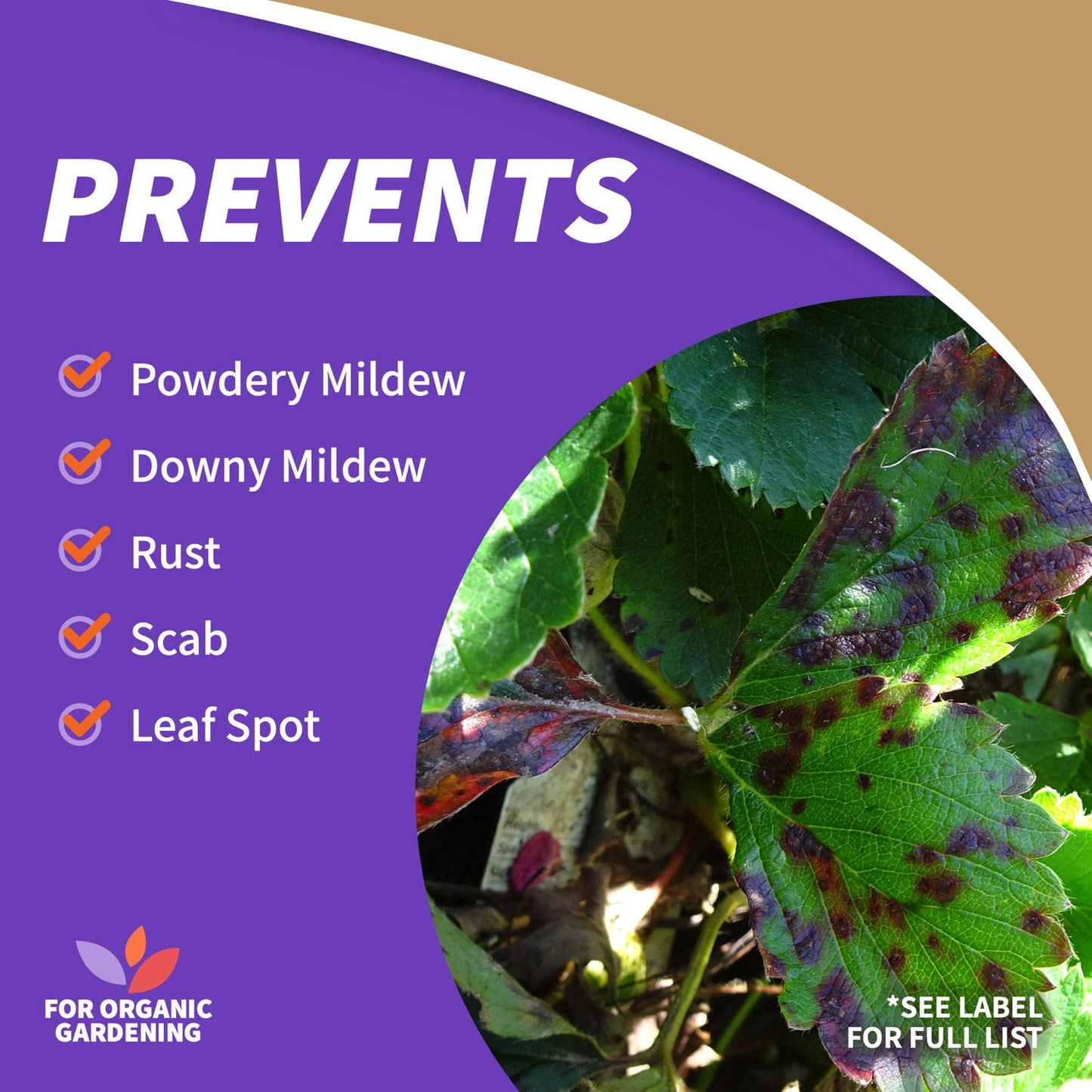 Neem Max, 128 oz Ready-to-Use Spray Cold Pressed Neem Oil for Organic Gardening