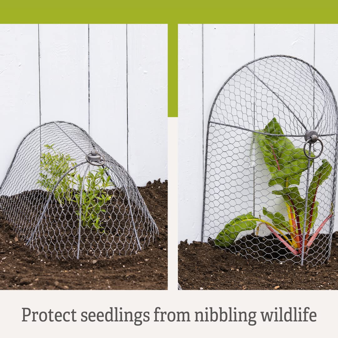 Sturdy Metal Garden Protection for Your Crops and Seedlings