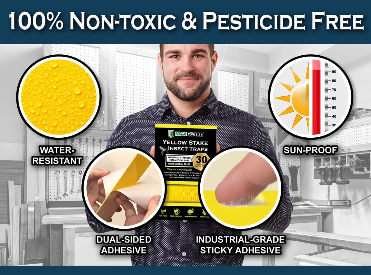 Yellow Stake Sticky Insect/Bug Traps - Catch and Kill Fungus Gnats, Whiteflies, Mosquitos, Aphids, Leaf Miners, Flying Insect Catcher Glue Trappers for Indoor or Outdoor