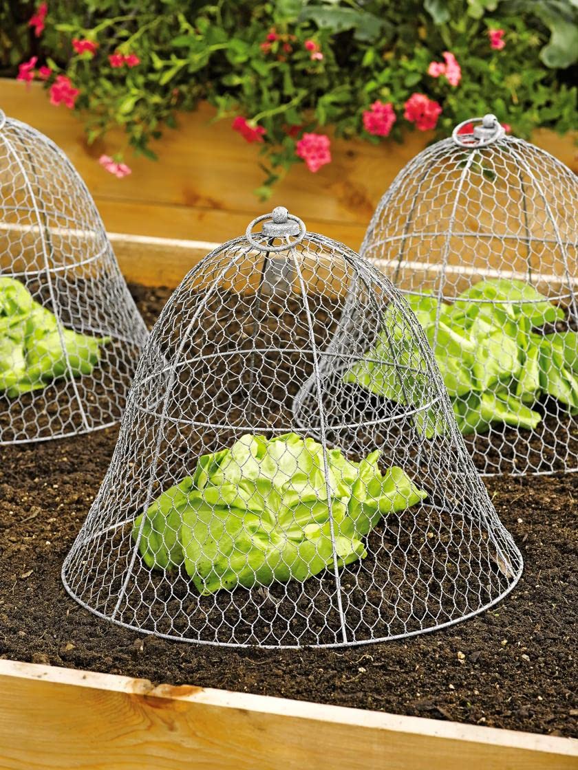 Sturdy Metal Garden Protection for Your Crops and Seedlings
