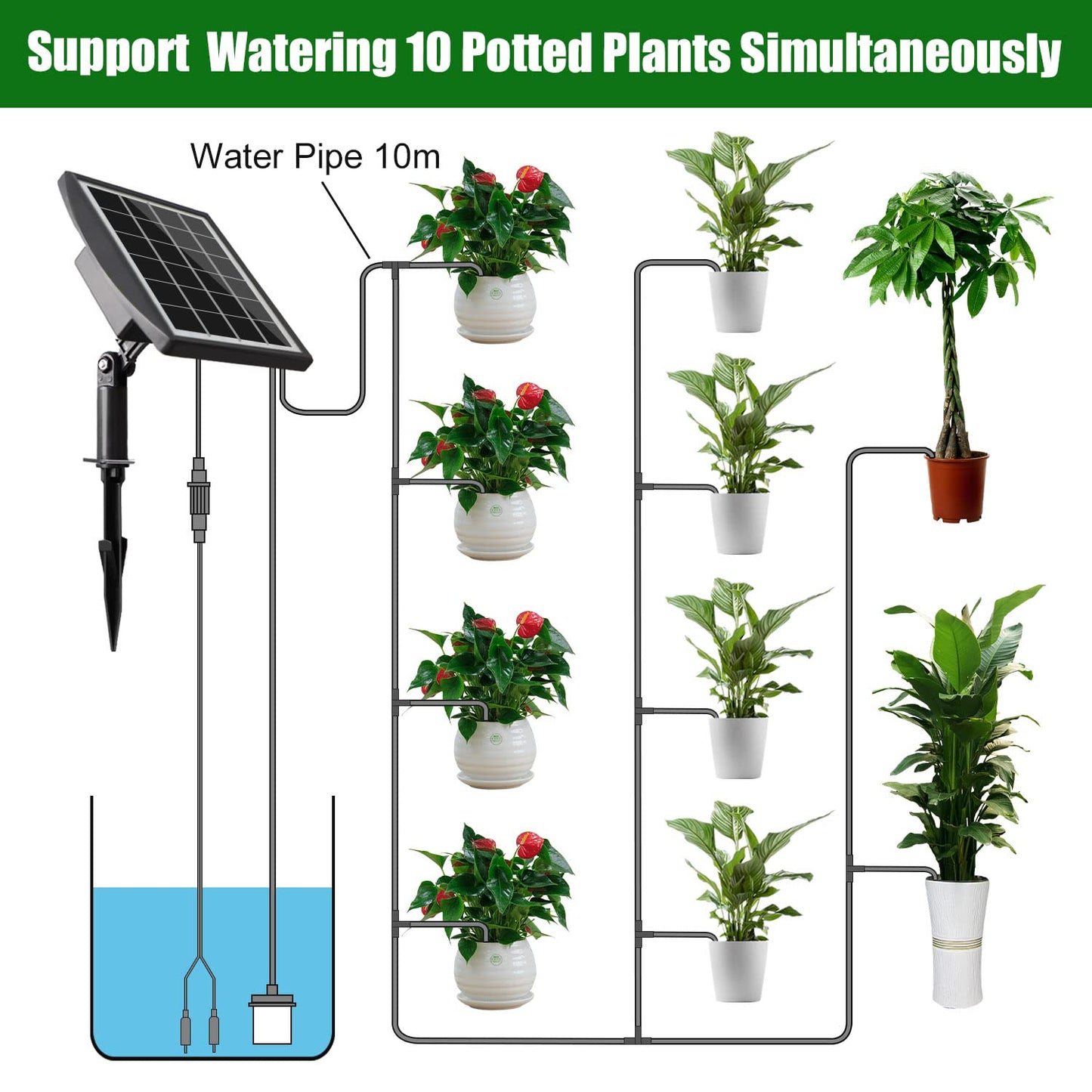 Solar Powered Auto Easy DIY Watering Device Supported Pots Plants, 6 Timing Modes with Anti-Siphoning Device (Supported 10 Pots, 6Timing Modes)