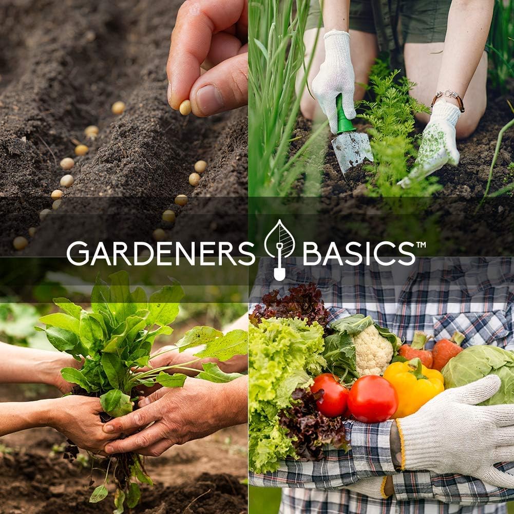 Gardeners Basic Seeds Garden Kit Over 16,000 Seeds Non-GMO and Heirloom