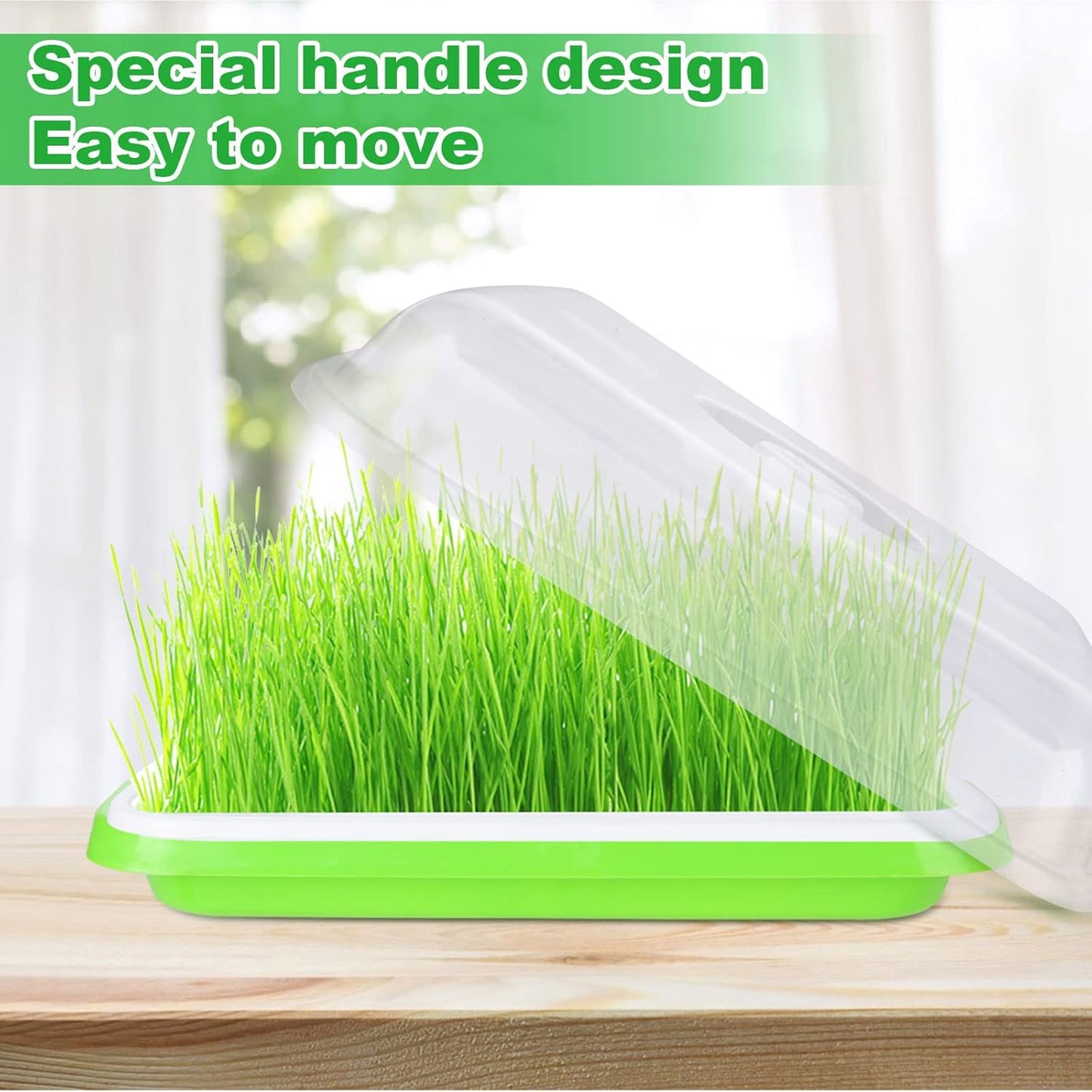 6 Pack Seed Sprouting Tray- BPA Free