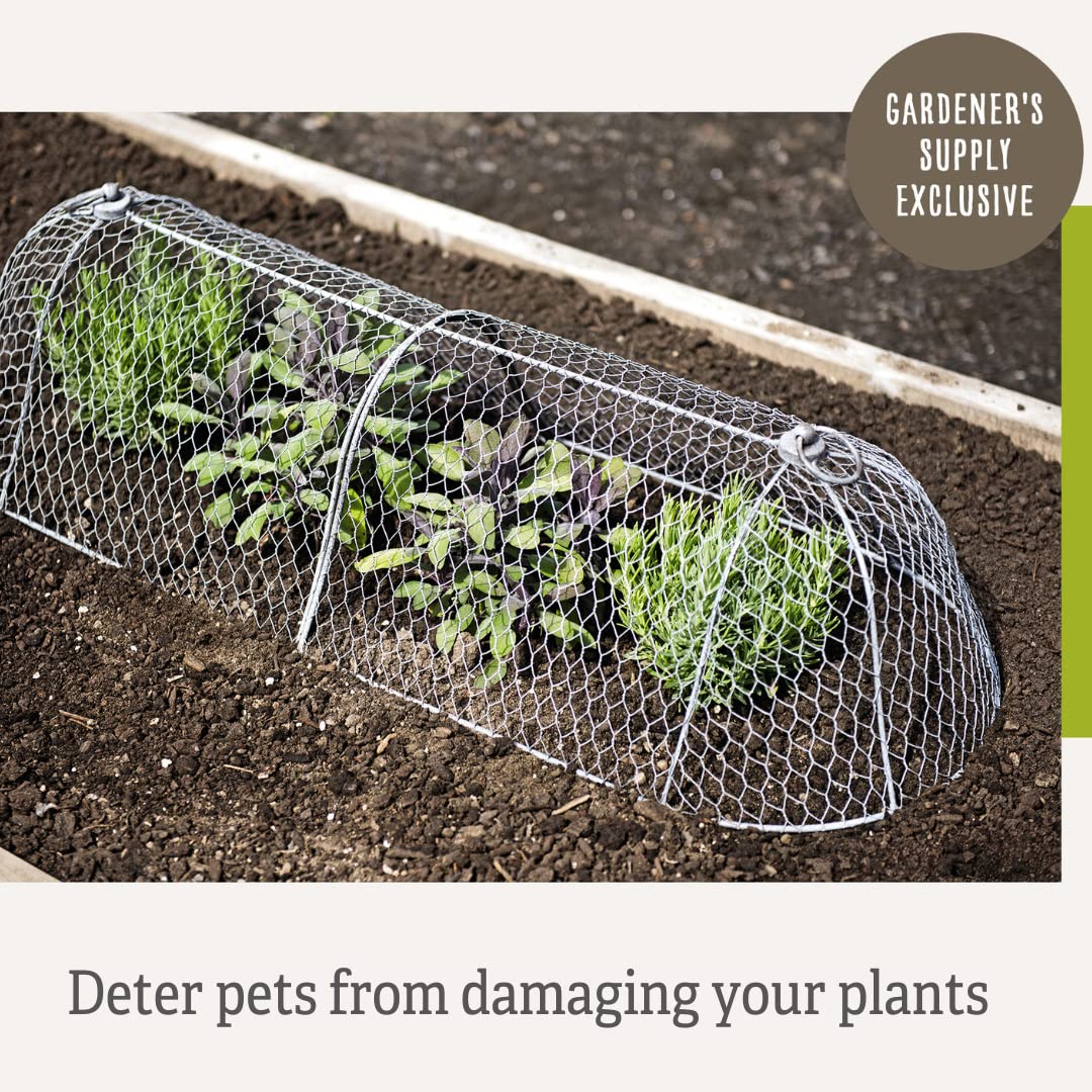 Sturdy Metal Garden Protection for Your Crops and Seedlings