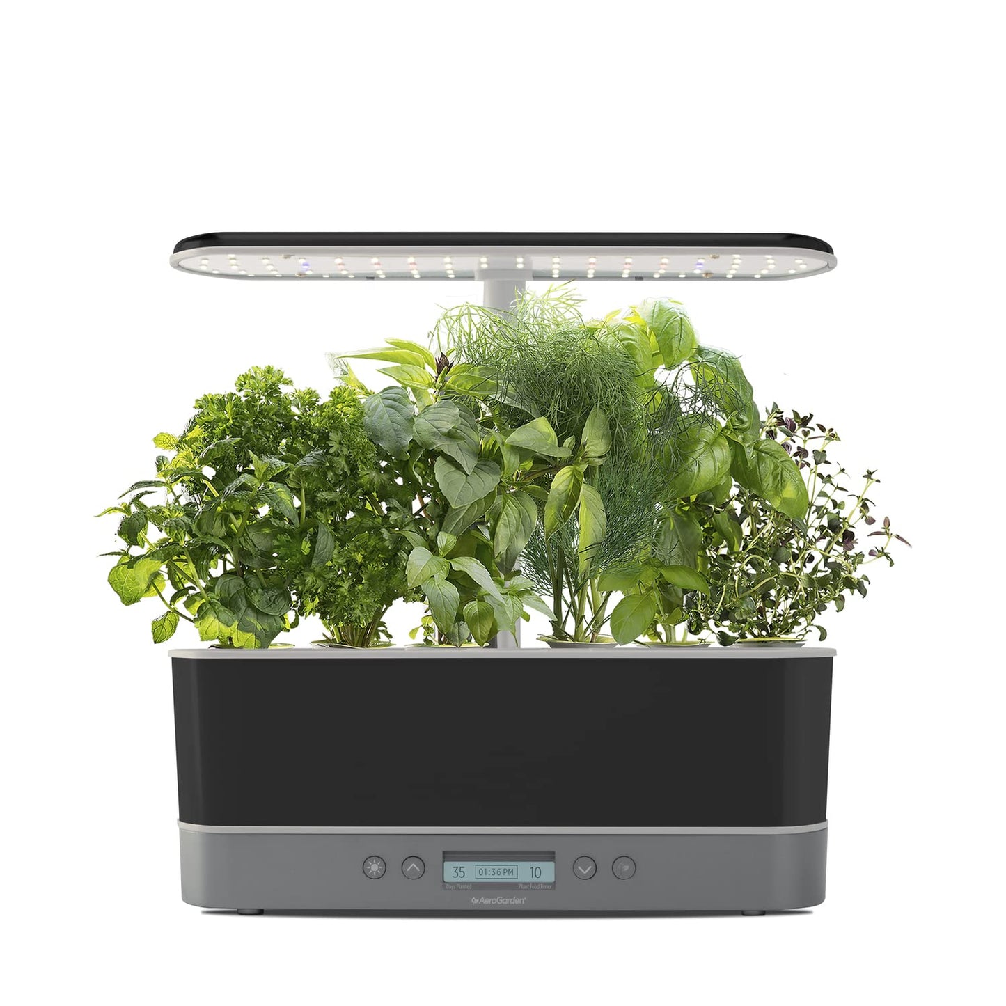 Aerogarden Elite Indoor Hydroponic System