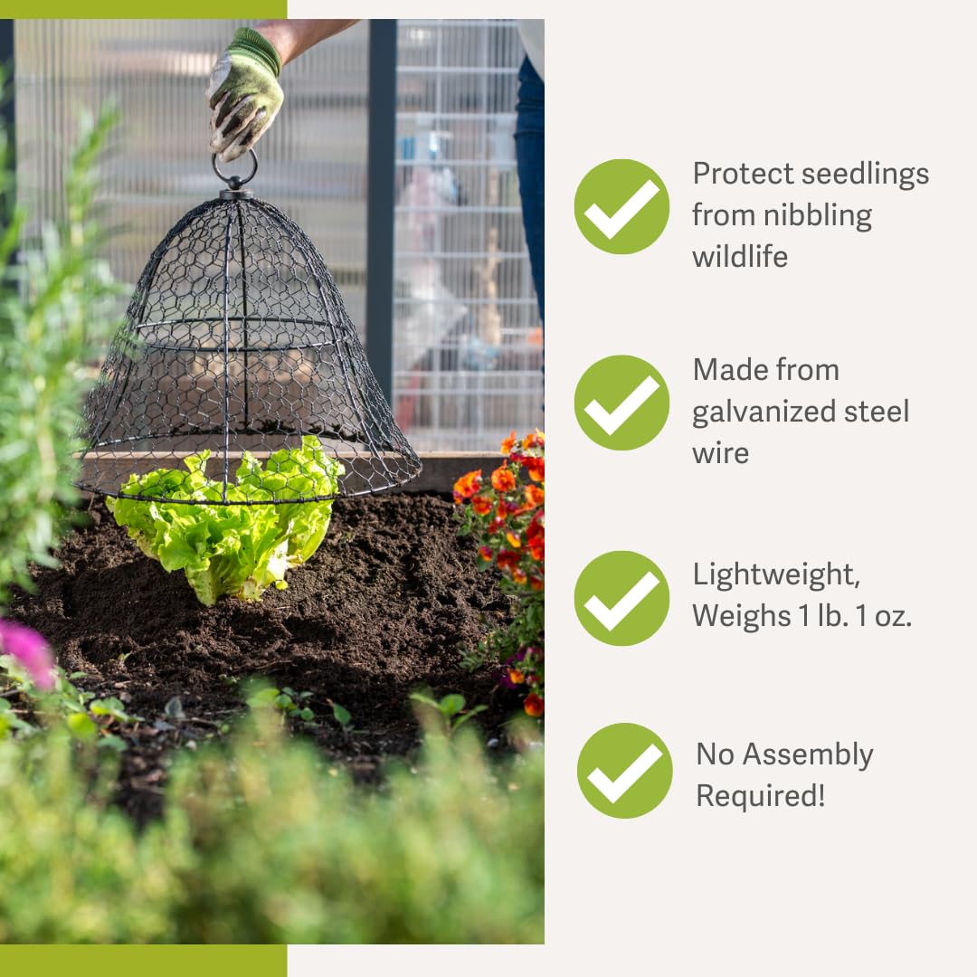 Sturdy Metal Garden Protection for Your Crops and Seedlings