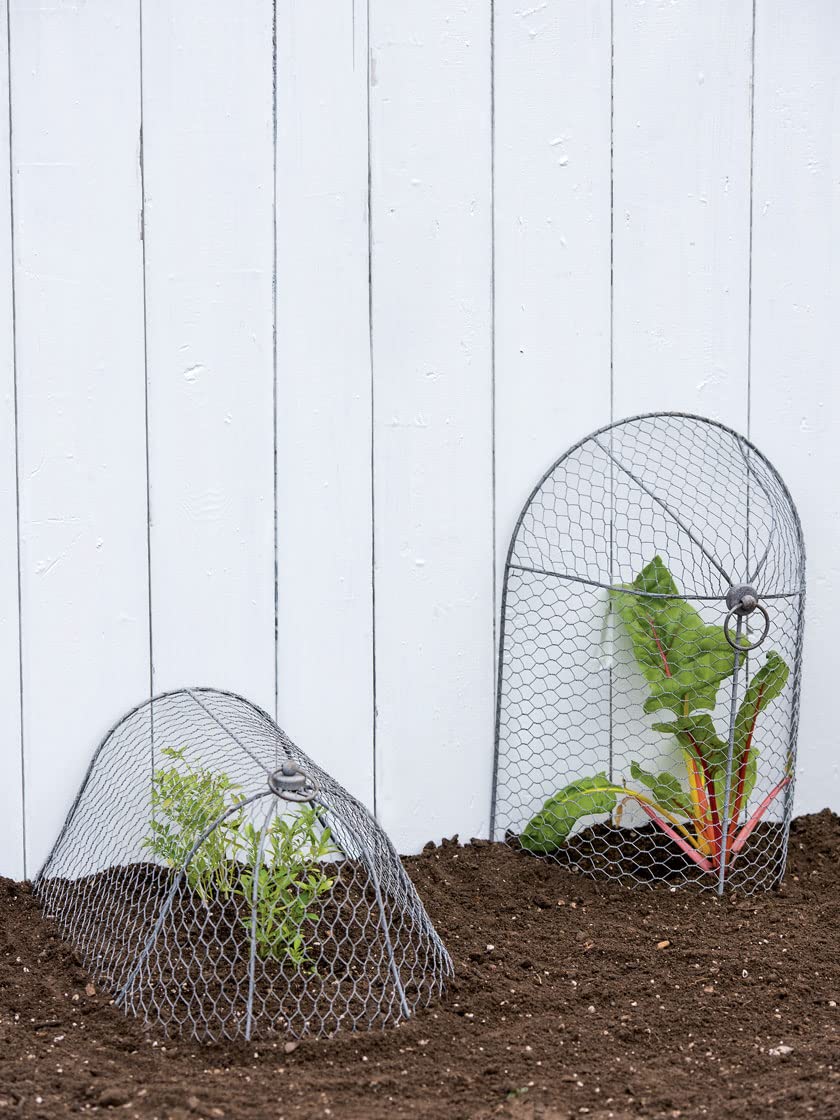 Sturdy Metal Garden Protection for Your Crops and Seedlings
