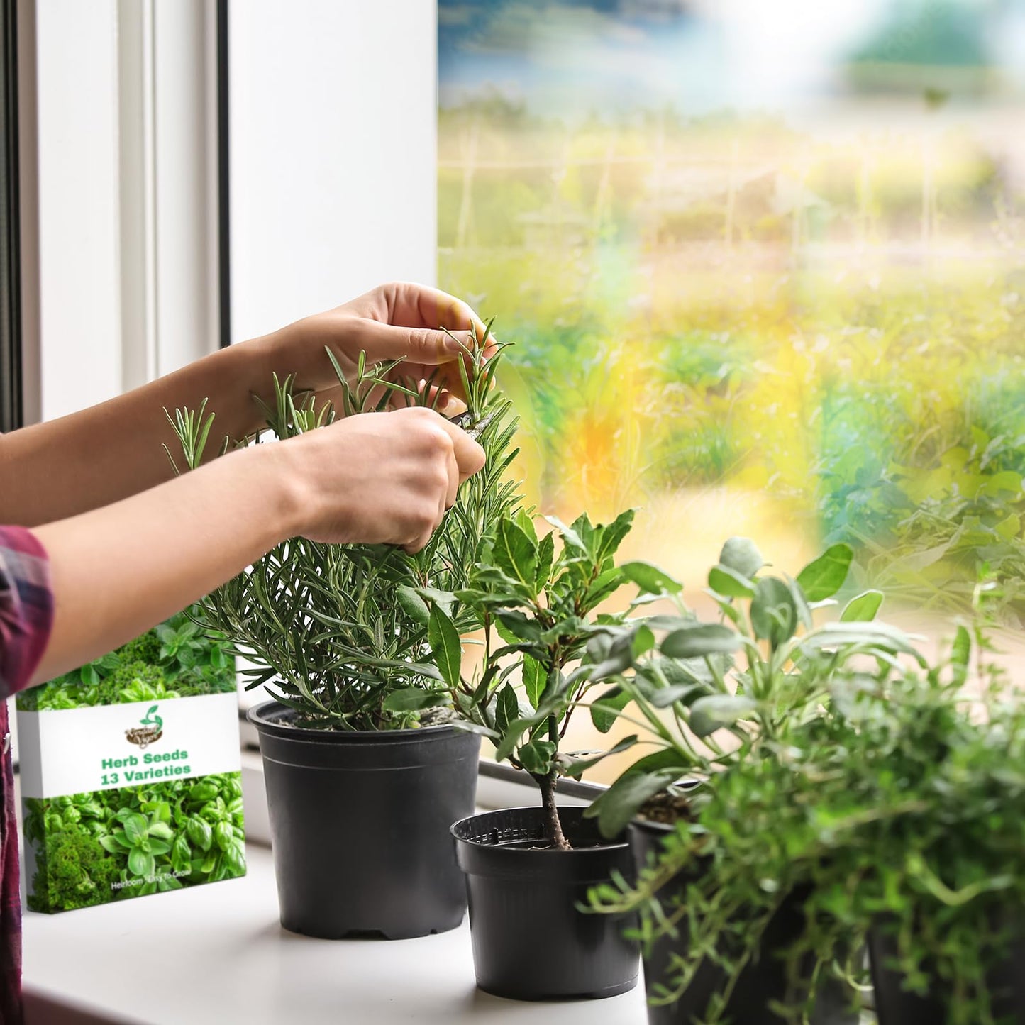 Non-GMO Heirloom Seeds 20,000+ Assorted Varieties available