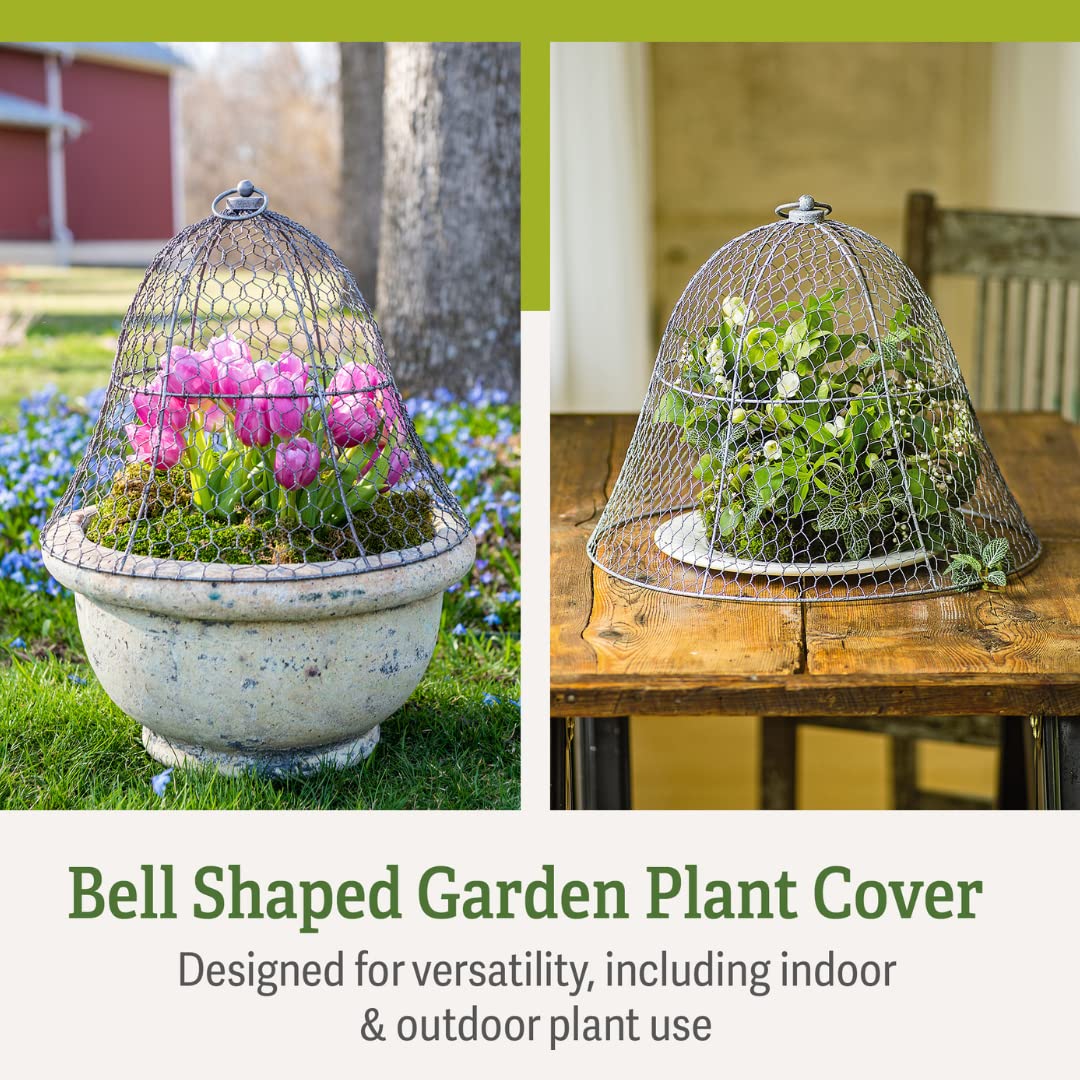 Sturdy Metal Garden Protection for Your Crops and Seedlings