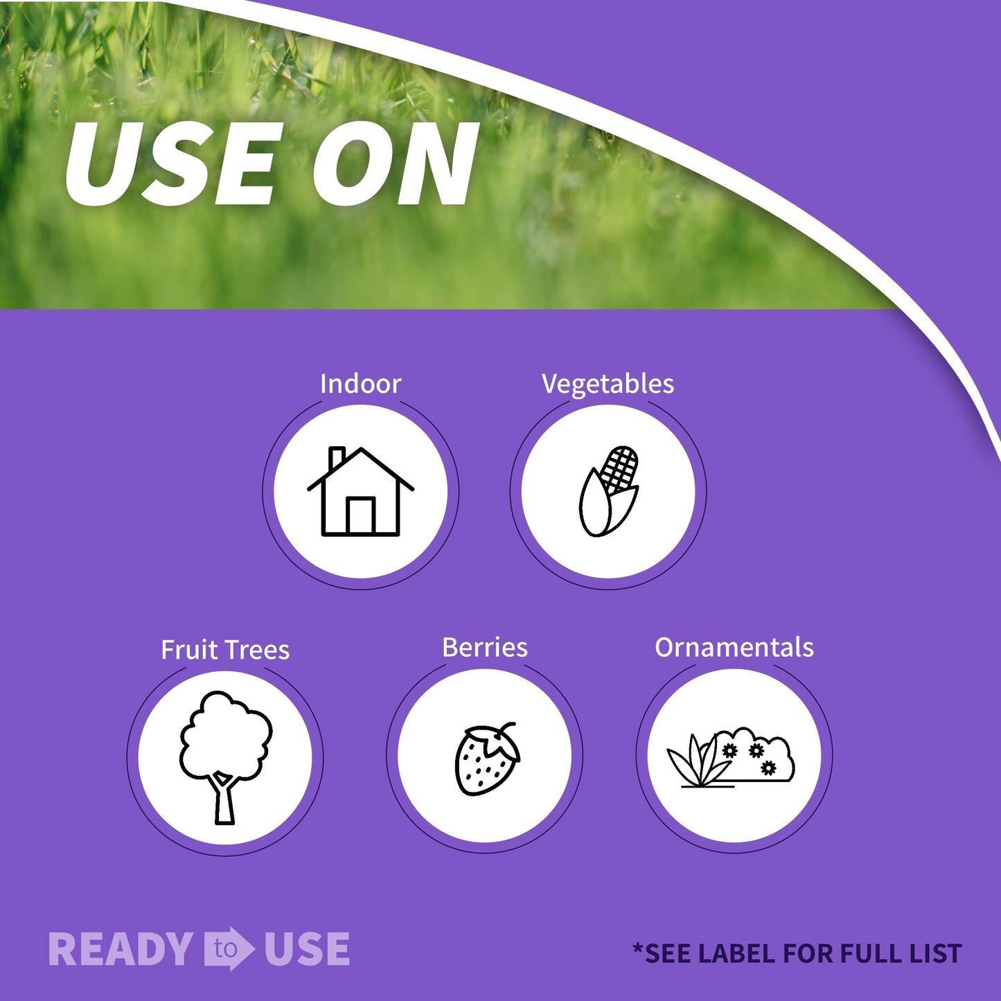 Rooting Powder Dust for Houseplants and Transplants Speeds Root Development