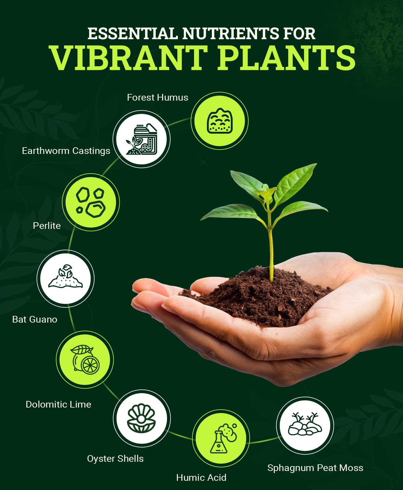 FoxFarm Happy Frog Potting Soil, 12qt – for Indoor/Outdoor Container Plants