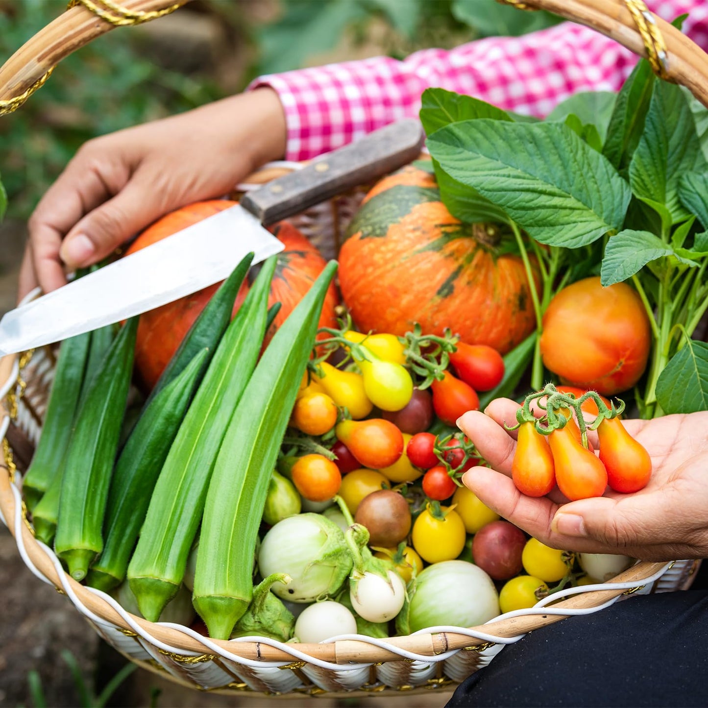 Non-GMO Heirloom Seeds 20,000+ Assorted Varieties available