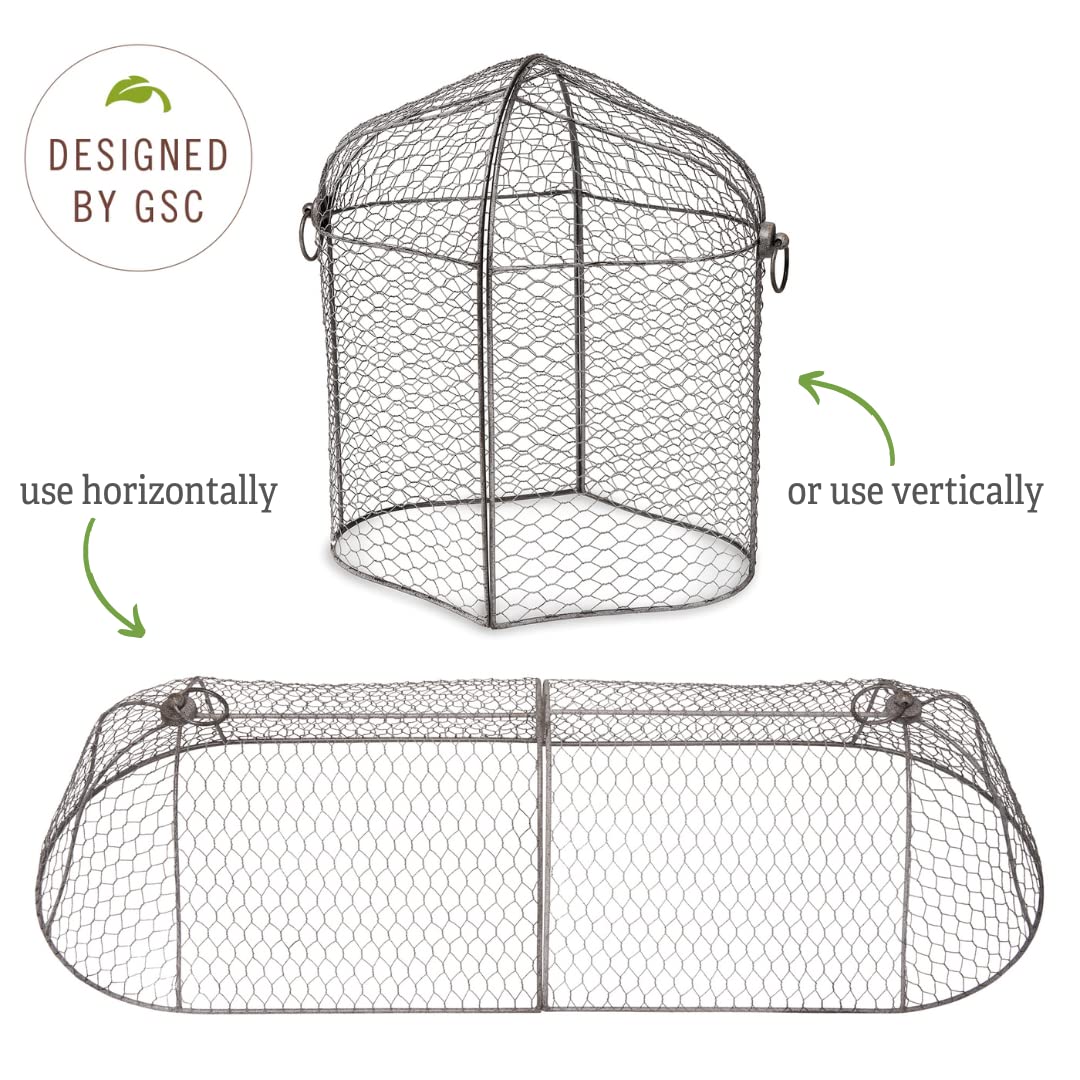 Sturdy Metal Garden Protection for Your Crops and Seedlings
