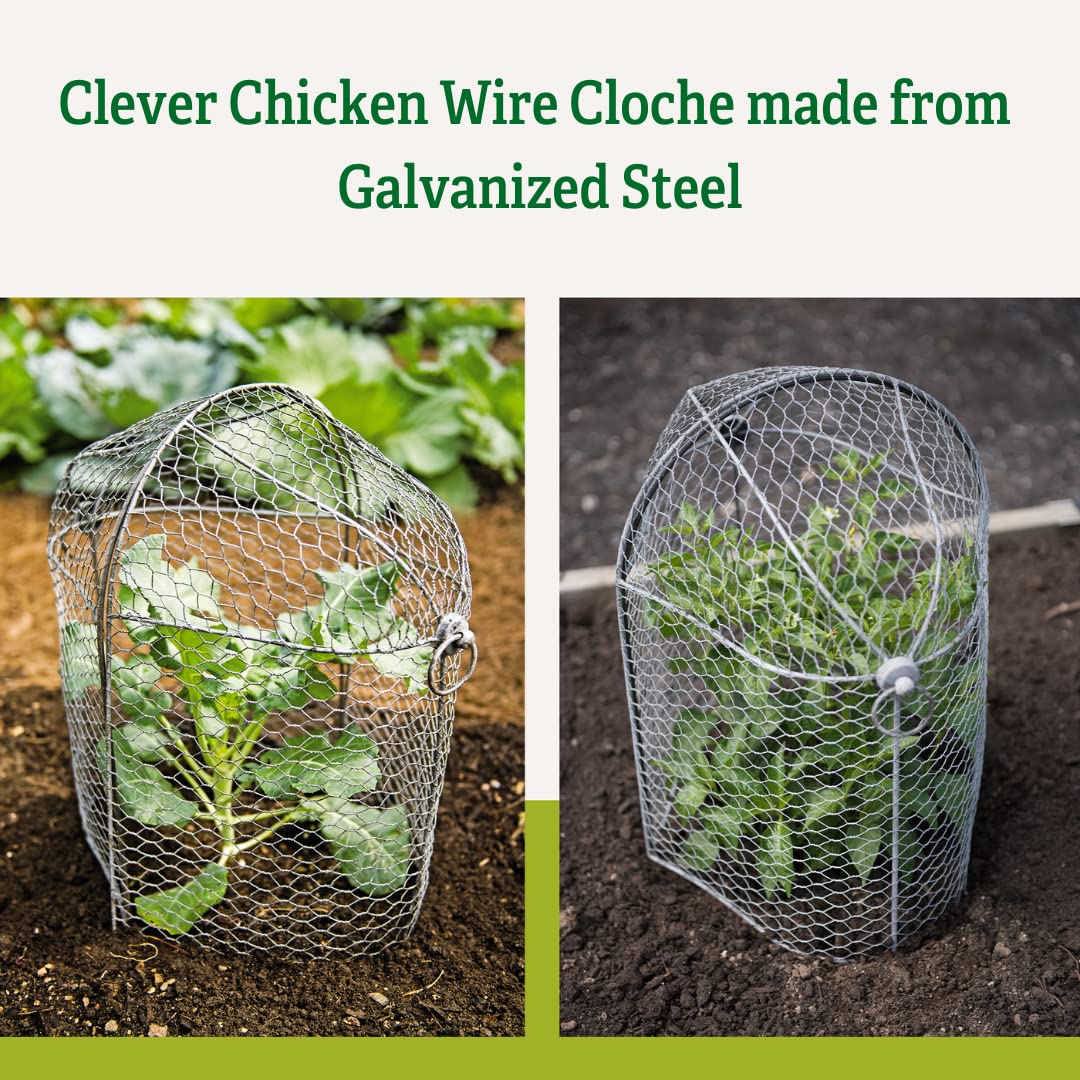 Sturdy Metal Garden Protection for Your Crops and Seedlings