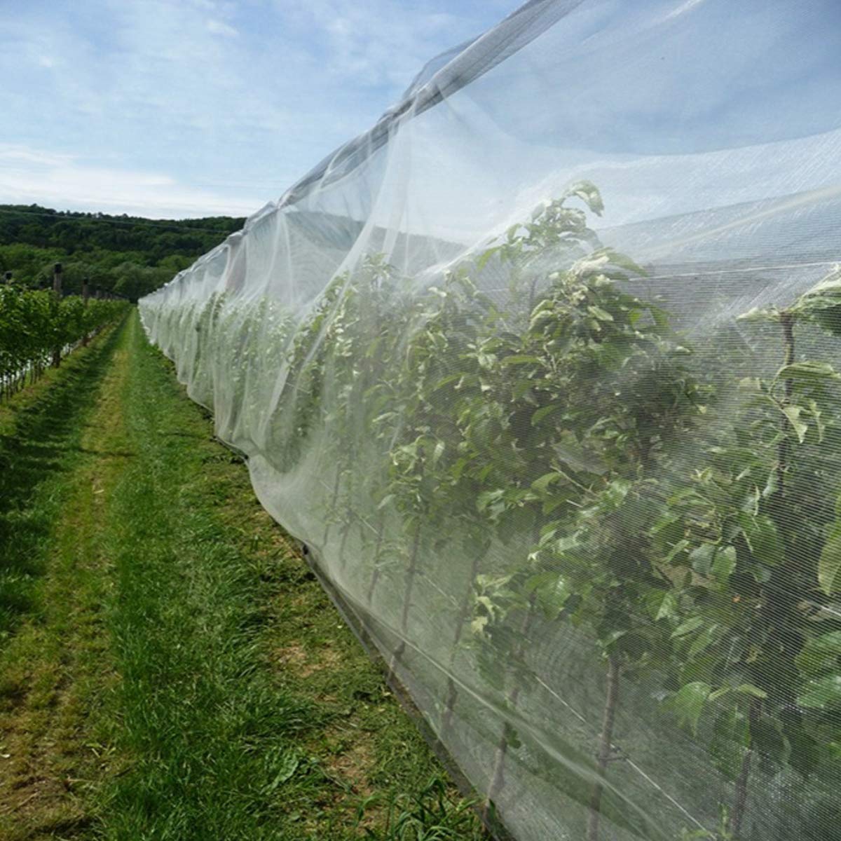 Garden Barrier Netting Ultra Fine - Birds & Animal Garden Protection