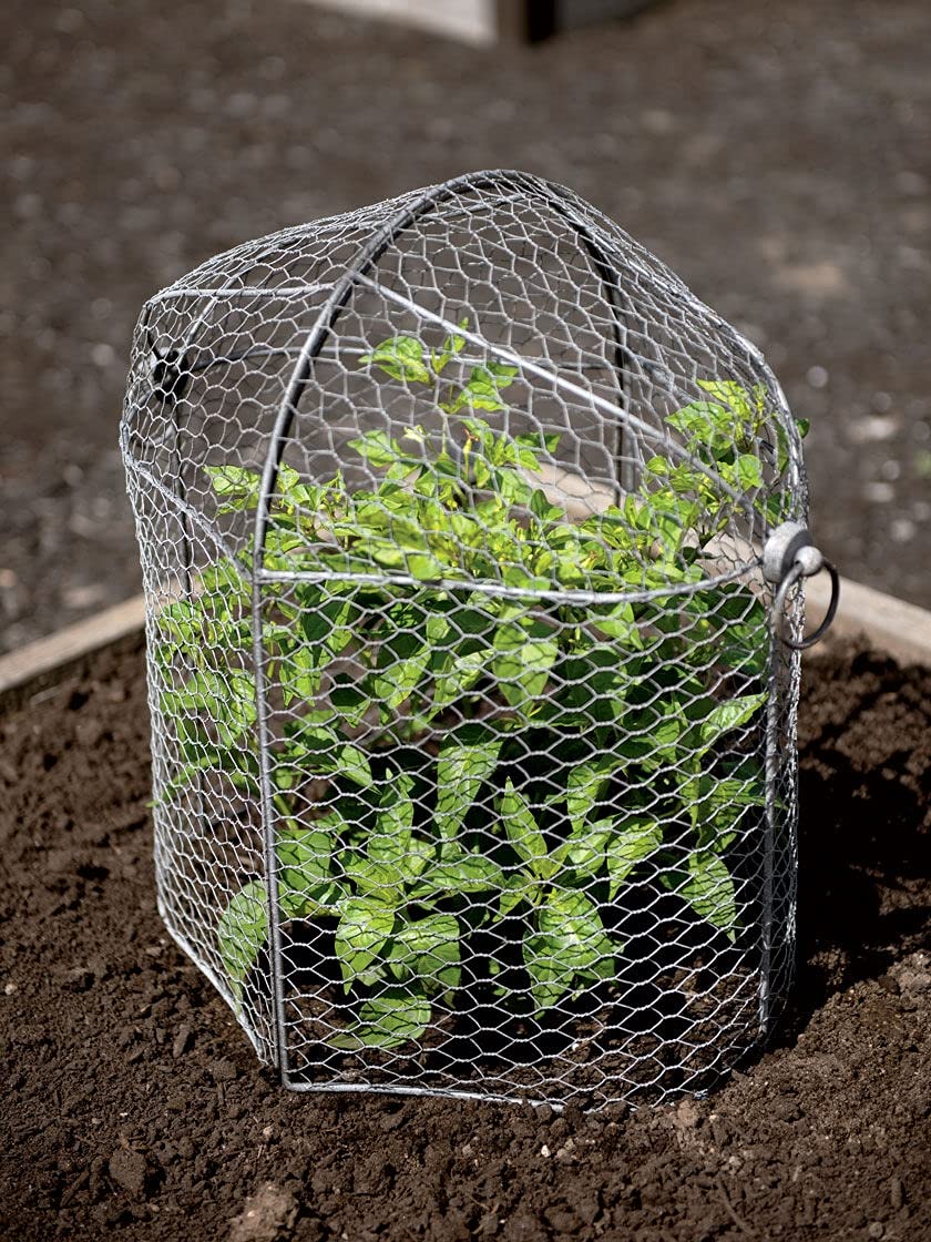 Sturdy Metal Garden Protection for Your Crops and Seedlings
